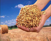 Erbacher, Ihr Dinkelspezialist